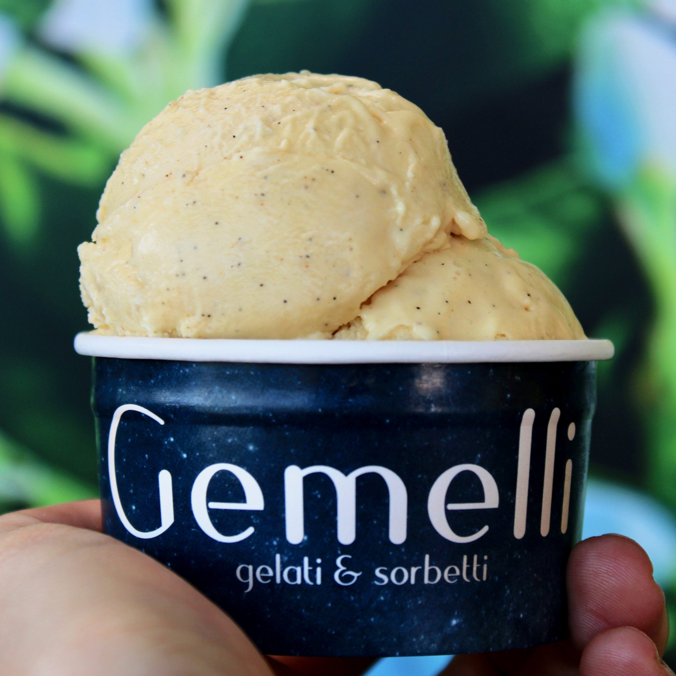 Gemelli Business - Gelati & Sorbetti